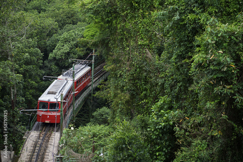 Red Brazilian Train Green Jungle Tijuca Rio de Janeiro