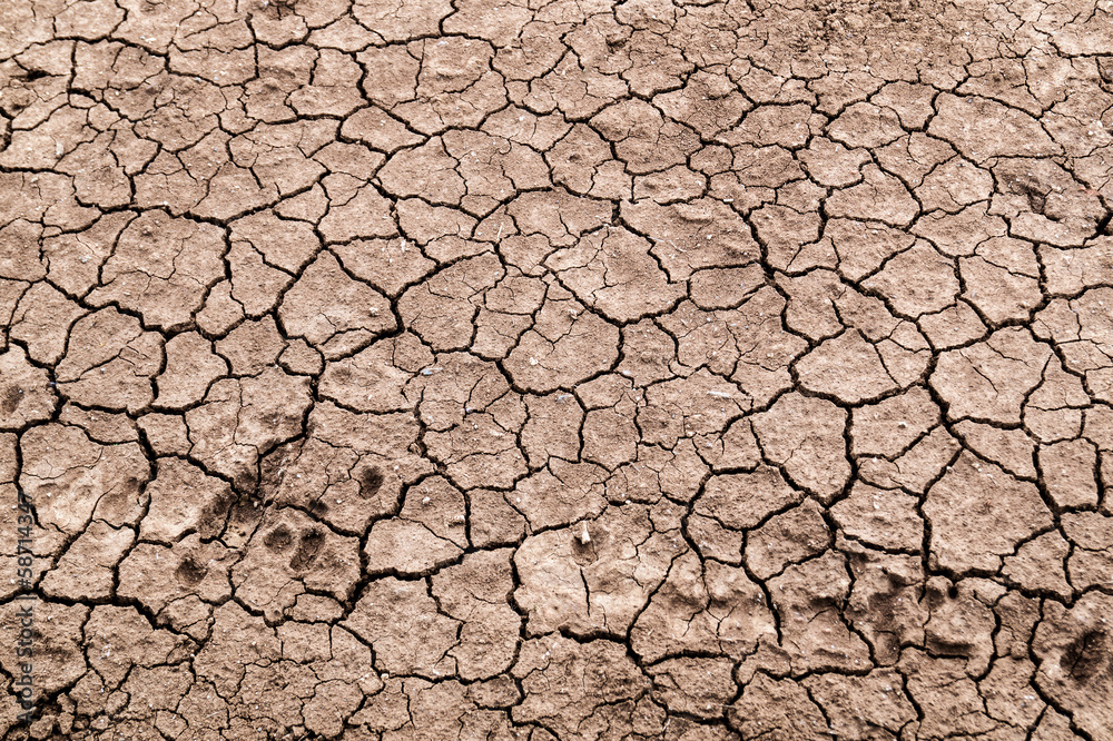 Dry cracked earth background, clay desert texture Dry cracked earth background, clay desert texture