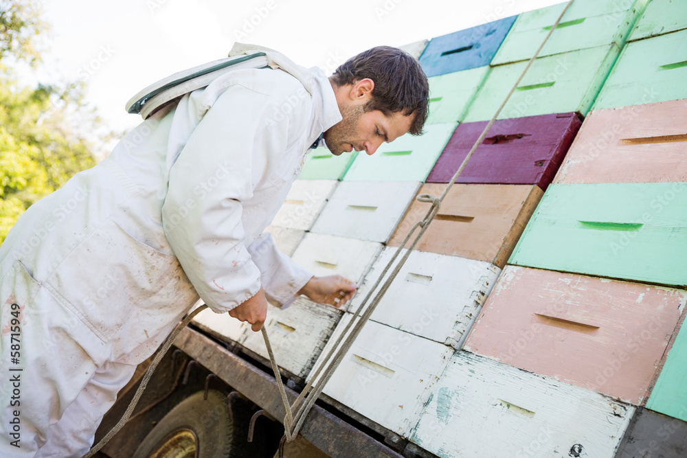Beekeeper Tying Rope Stacked Honeycomb Crates Beekeeper Tying Rope Stacked Honeycomb Crates
