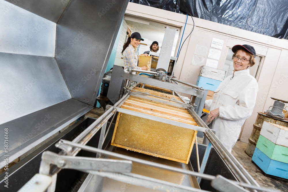 Portrait Of Beekeeper Working On Honey Extraction Plant Portrait Of Beekeeper Working On Honey Extraction Plant