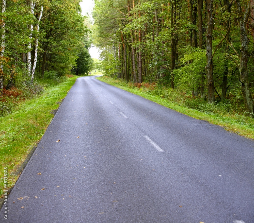 Landscape in Poland asphalt road in forest early autumn