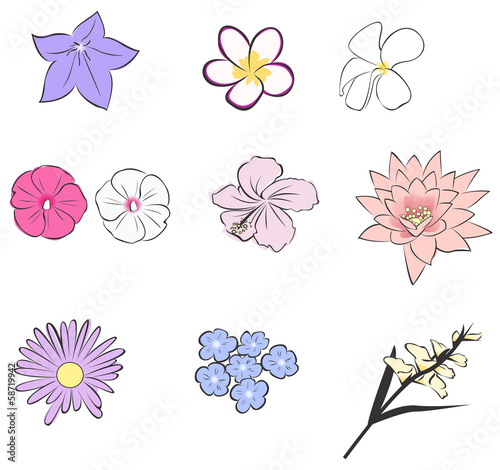 Fototapeta Naklejka Na Ścianę i Meble -  Simple tropical flower icon collection set (vector)