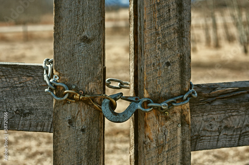 A close-up of a chain locking a wooden fence.
