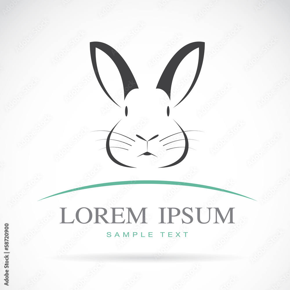 Vector of a rabbit on white background. Animals.
