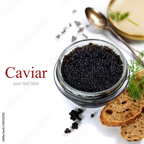 black caviar photo