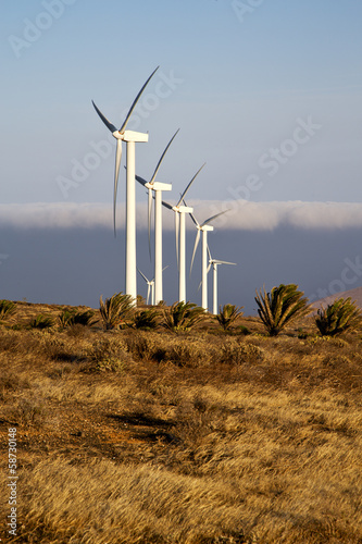 Wallpaper Mural africa wind turbines and the sky in the isle Torontodigital.ca
