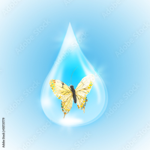 Butterfly in a drop of water