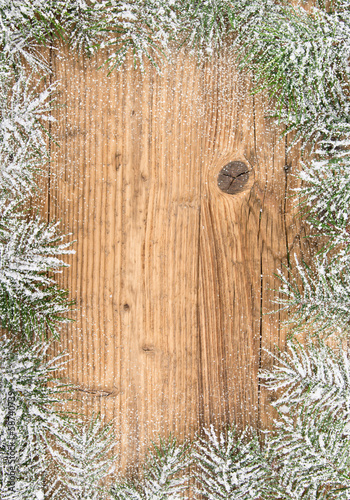 Christmas fir tree