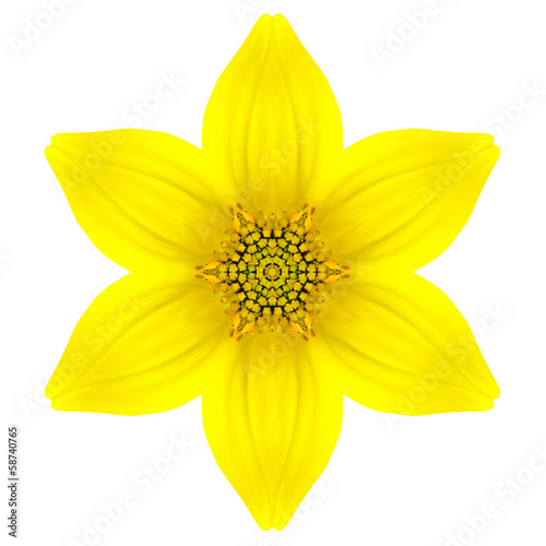 Yellow Concentric Star Flower Isolated on White. Mandala