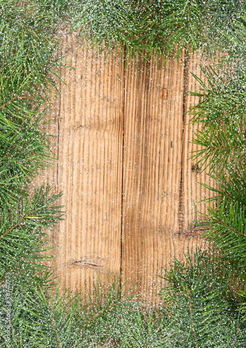 Christmas fir tree