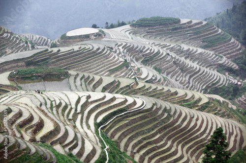Longji rice terraces, Guangxi province, China photo