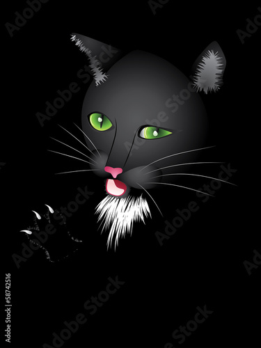 Funny cartoon black cat