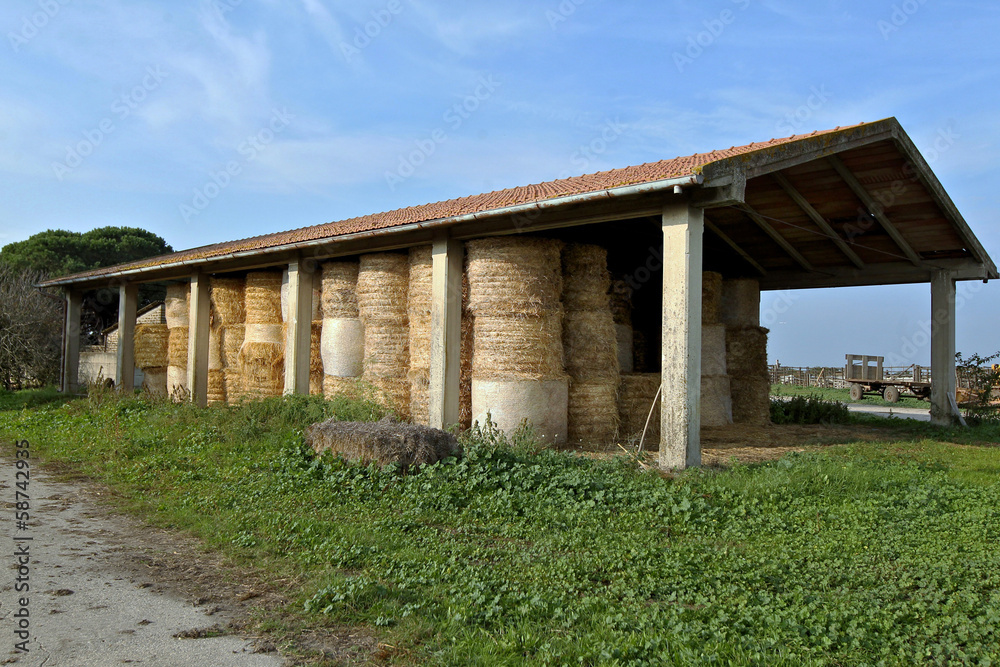 Fototapeta premium fieni e fattorie italiane