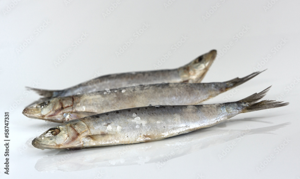 Sardines Sardines