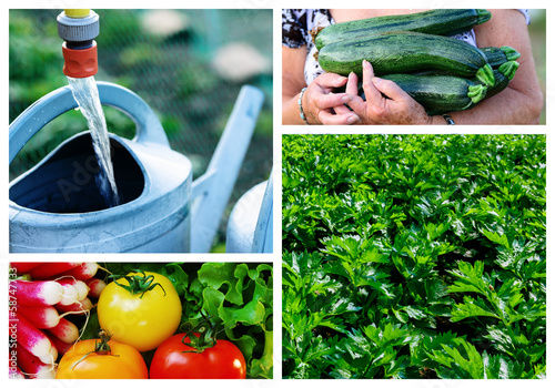 Photography collage of Gardening and Greenhouse