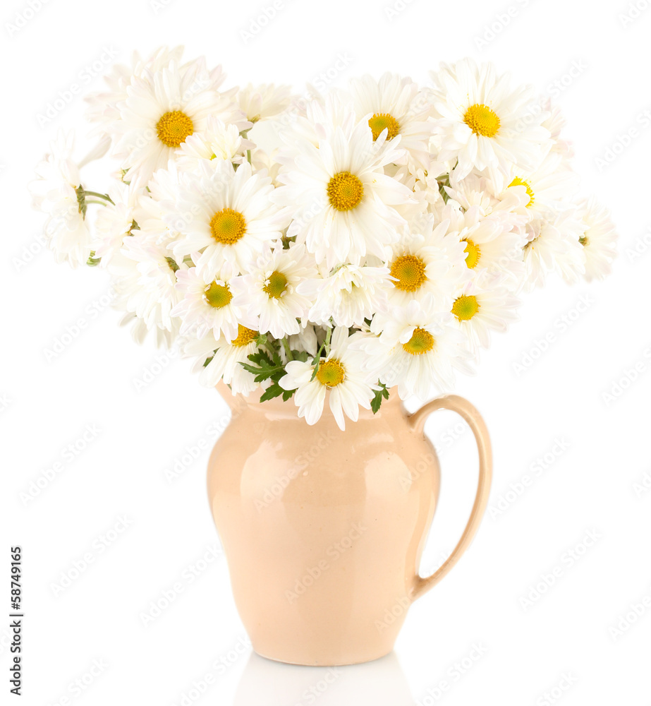 daisies in vase isolated on white