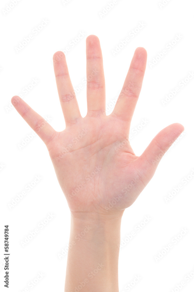 isolated female hand showing the number five isolated female hand showing the number five
