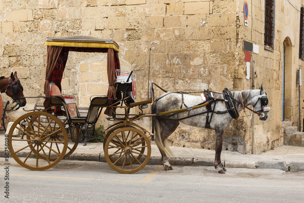 horse-drawn carriage in the streets of Valletta