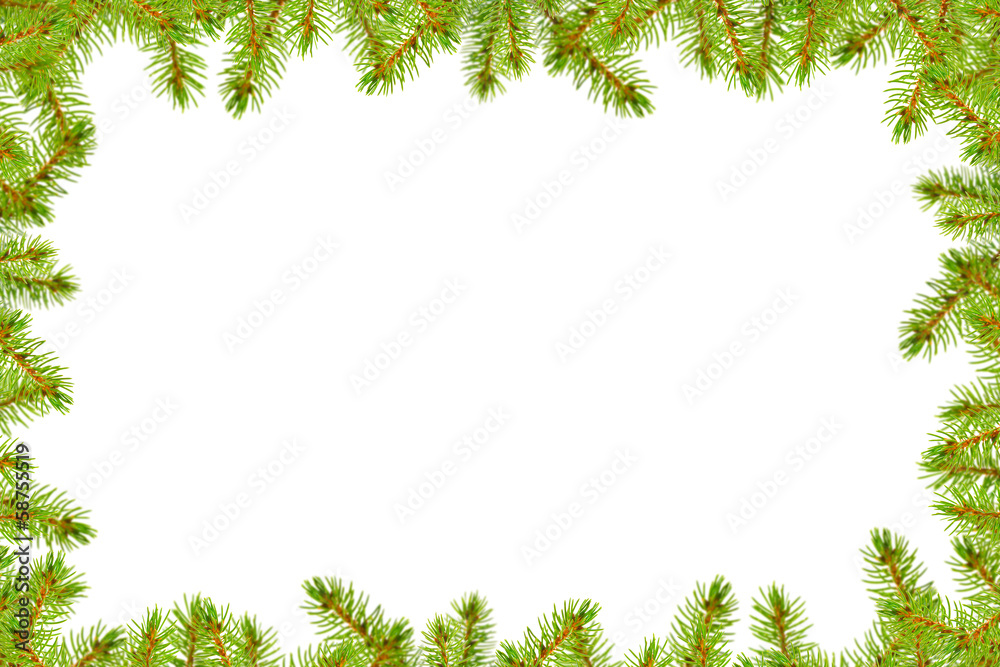 Weihnachtskarte mit Tannenzweigen