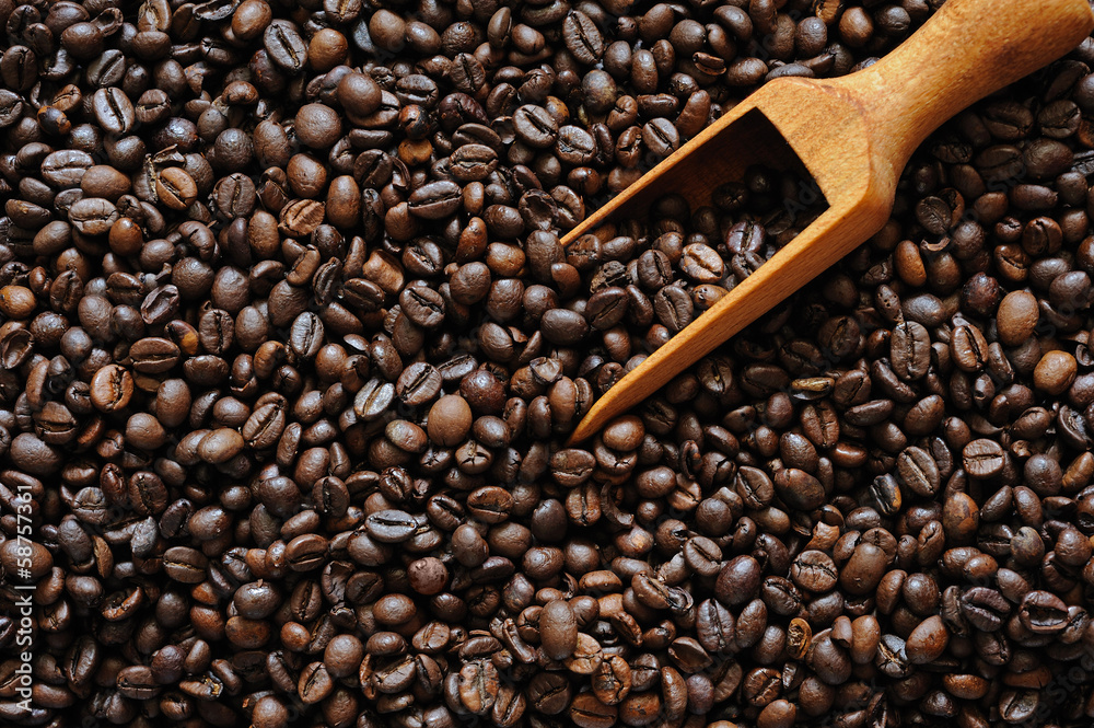 Fototapeta premium Coffee beans