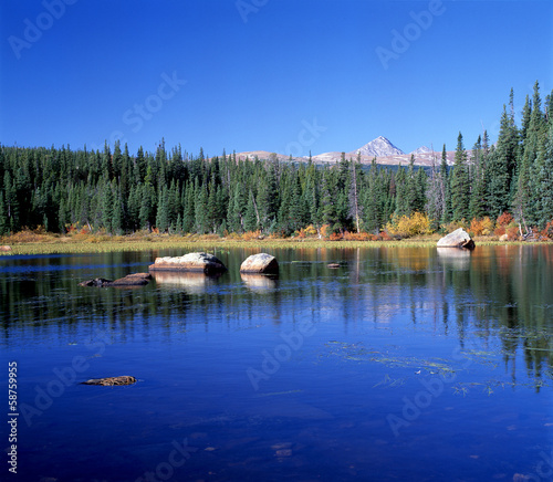 Beautiful forest reflecting on calm lake shore at indian Peak