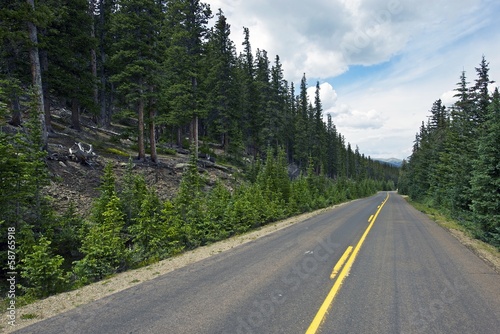 Colorado Forest Road