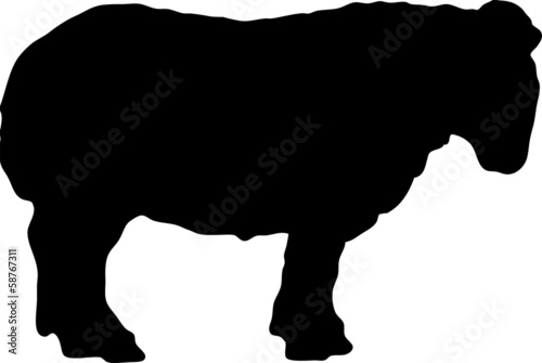 pictogramme mouton