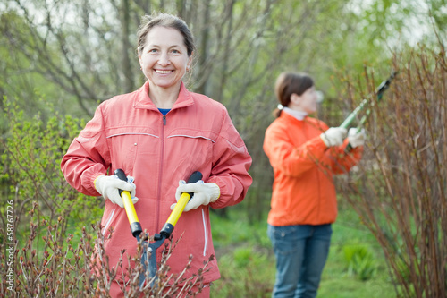 women cutting shrubbery photo