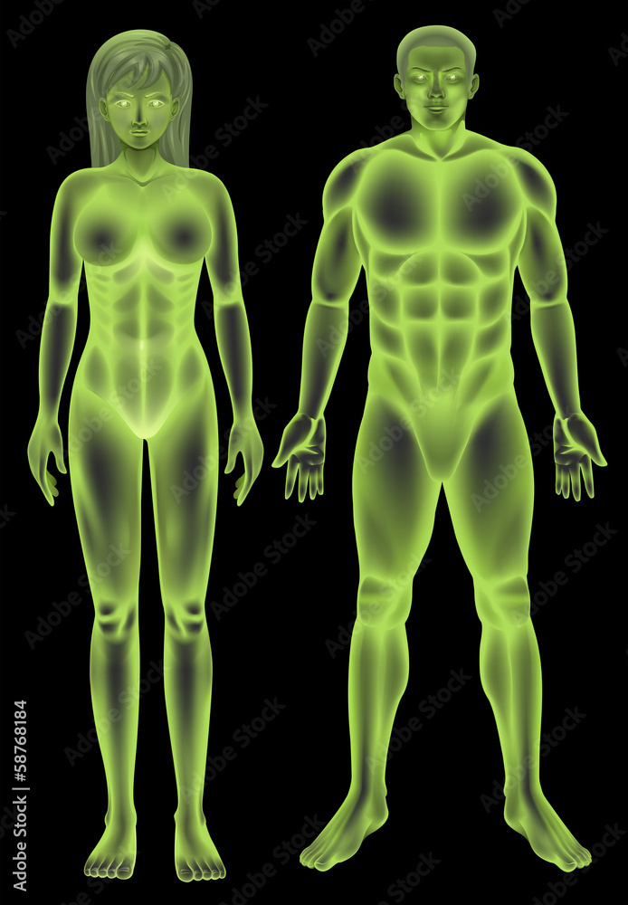Male and female human body