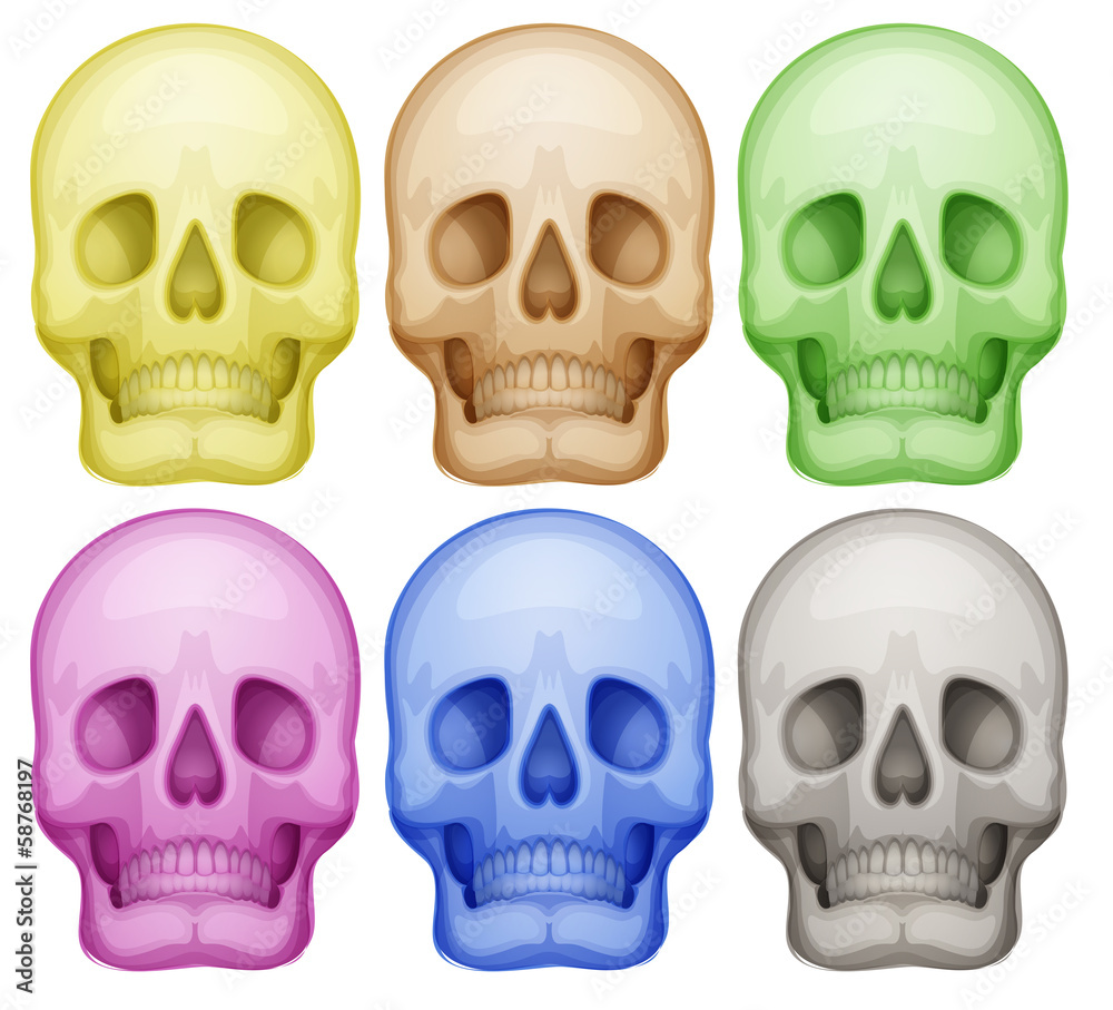 Colorful skulls Colorful skulls