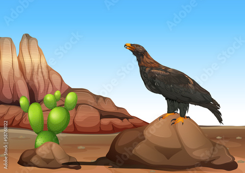 An eagle