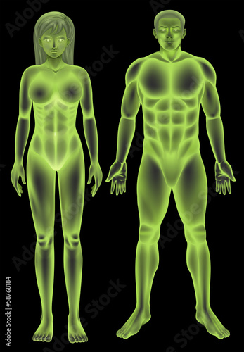 Male and female human body