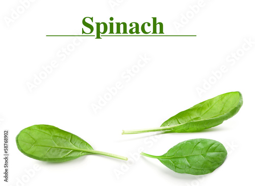 Spinach leaf