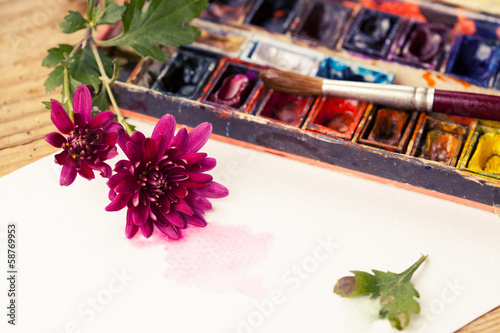 Watercolor paint box  flowers and brushes for painting