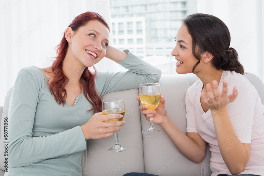 Female friends with wine glasses chatting at home Female friends with wine glasses chatting at home