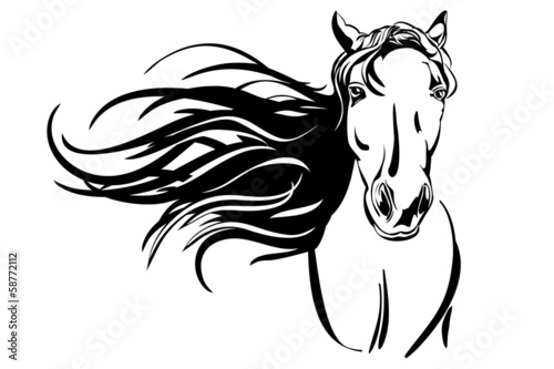 horse hand drawn vector llustration realistic sketch