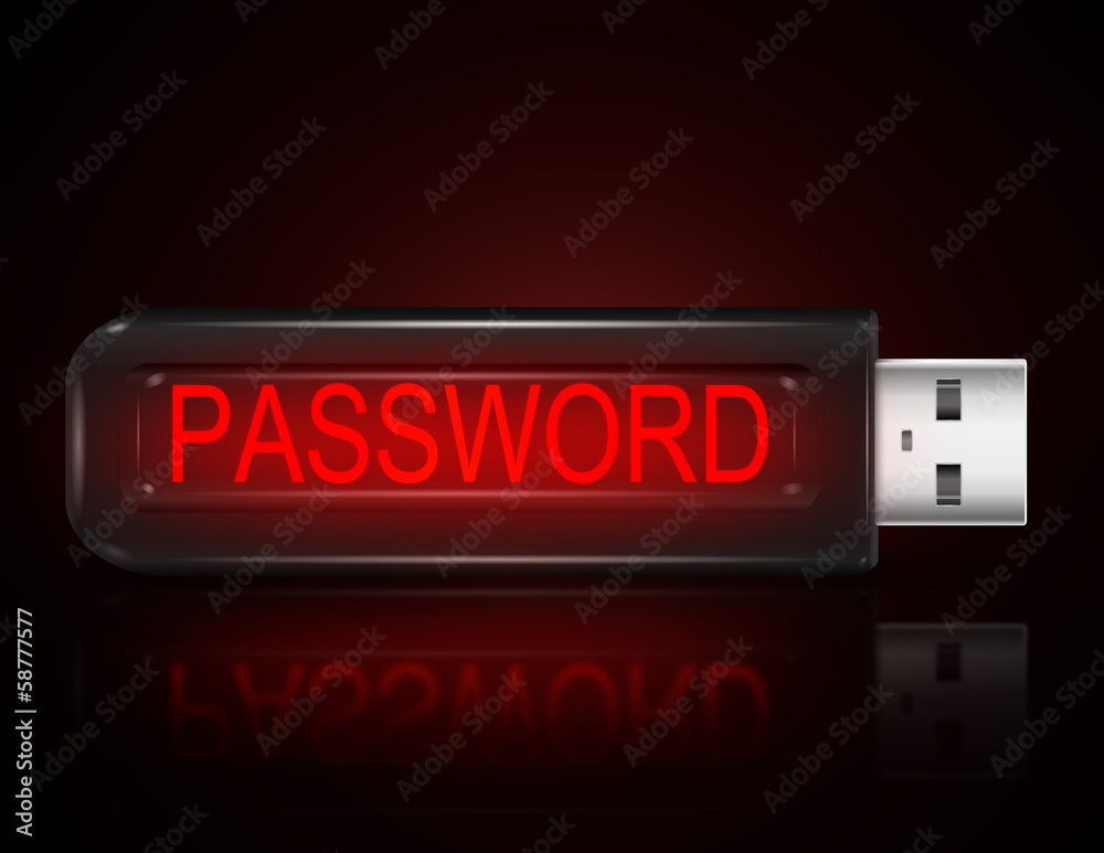 Password concept.
