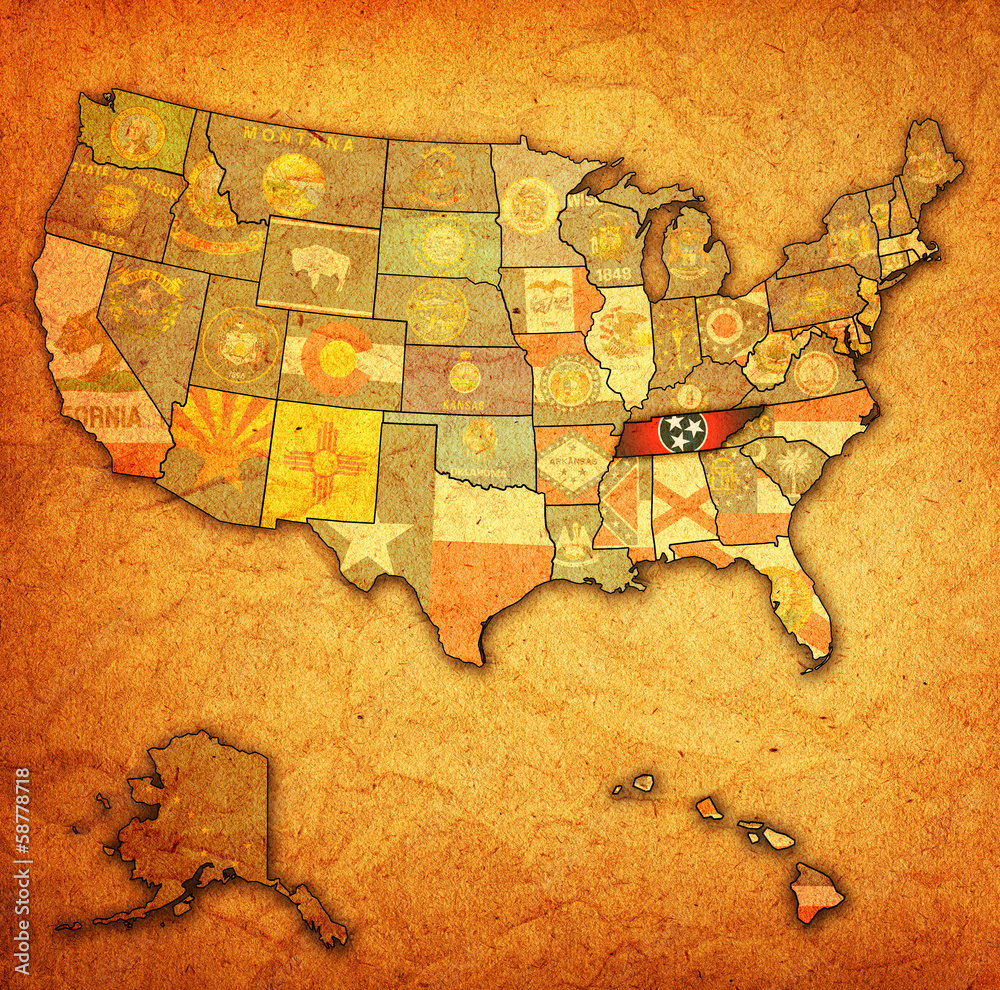 Fototapeta premium tennessee on map of usa