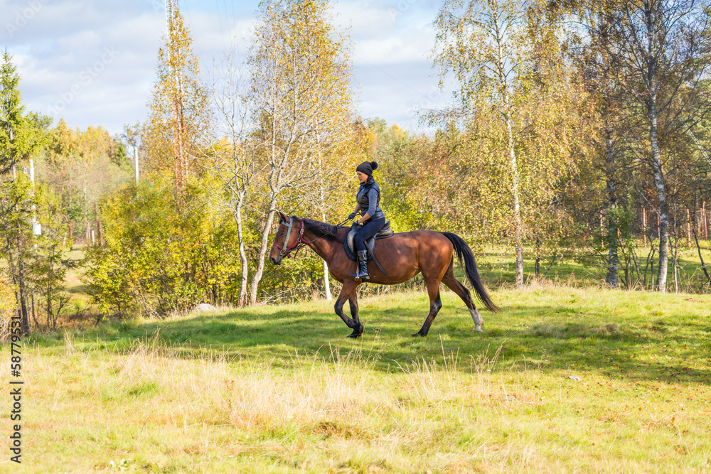 Elegant attractive woman riding a horse Elegant attractive woman riding a horse