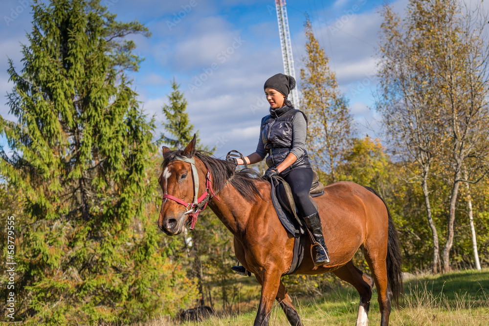 Elegant attractive woman riding a horse Elegant attractive woman riding a horse
