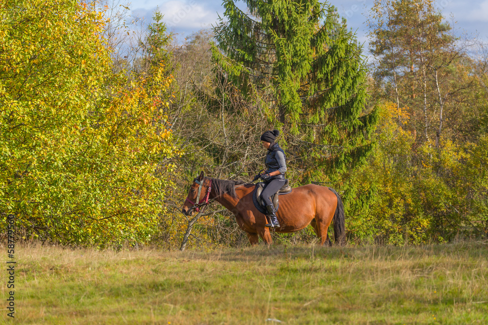 Elegant attractive woman riding a horse Elegant attractive woman riding a horse