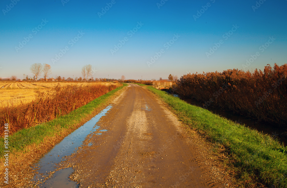 Road in the country
