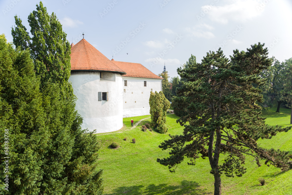 Obraz premium Croatia. Castle of Varaždin9