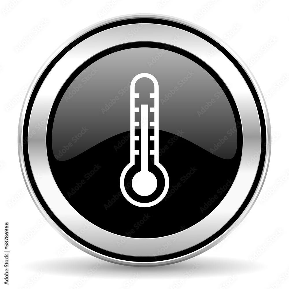 thermometer icon