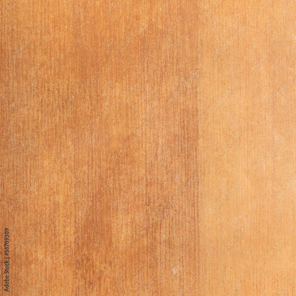 wood texture, tree background wood texture, tree background