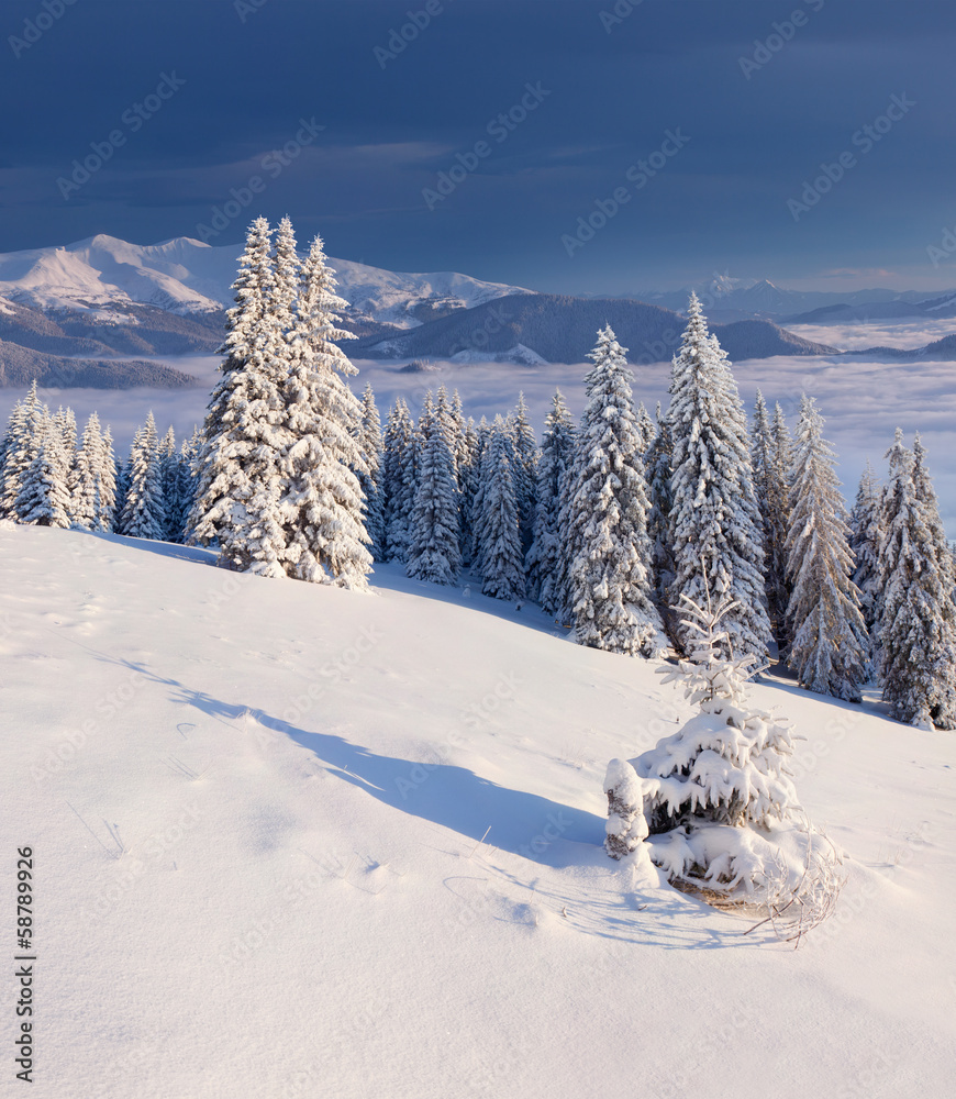 Naklejka premium Beautiful winter landscape in the mountains