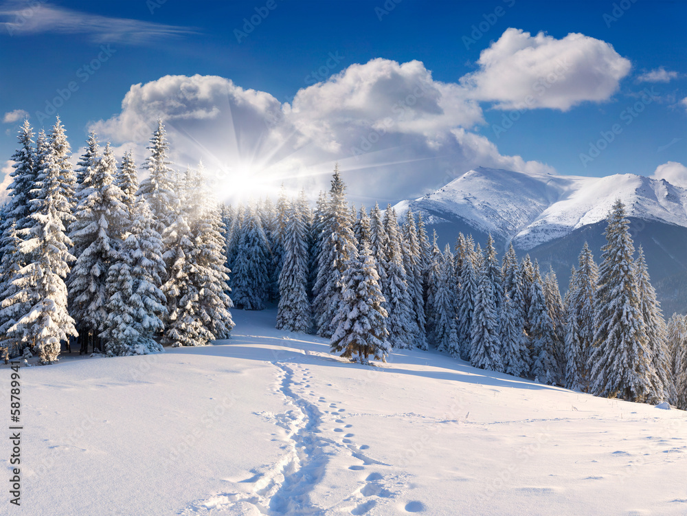 Beautiful winter landscape in the mountains Beautiful winter landscape in the mountains