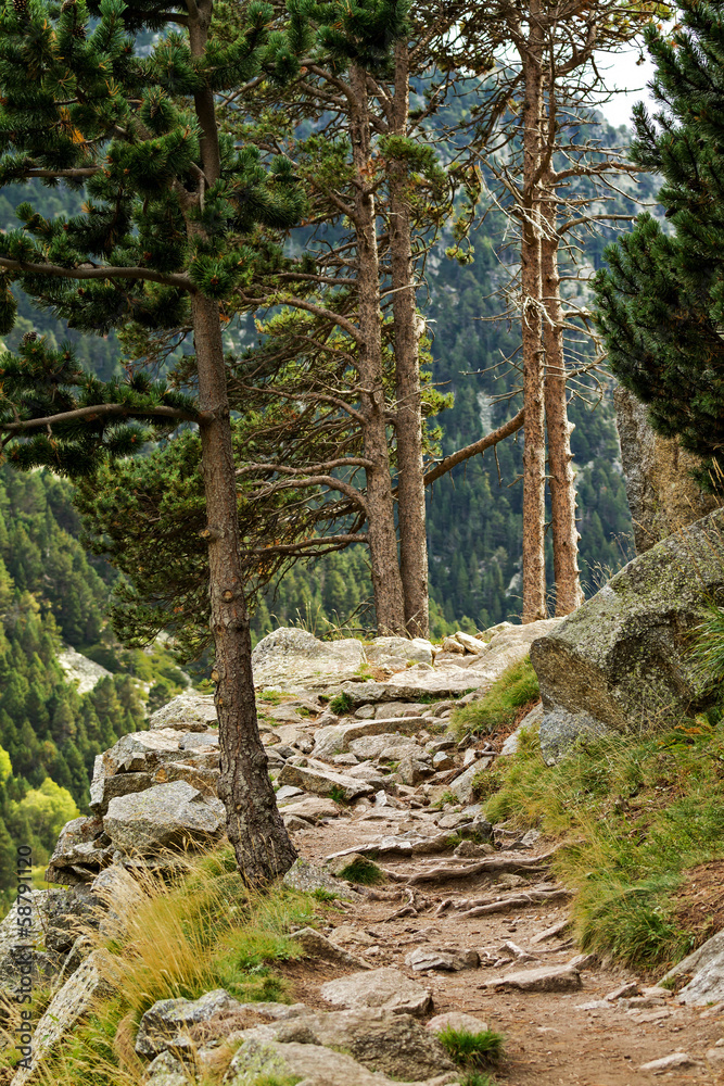 Path Path