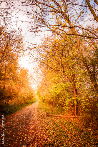 Autumn landscape