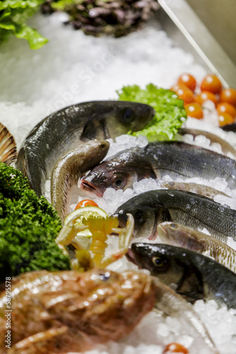 Seafood